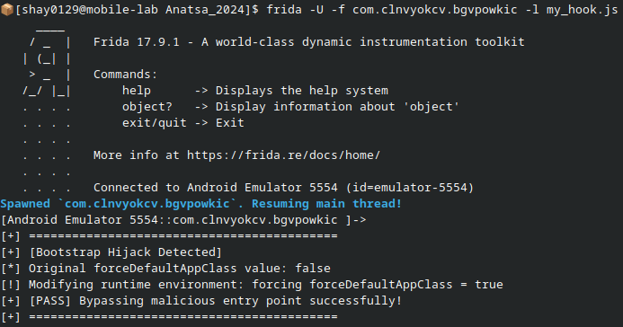 Frida Terminal Output 1